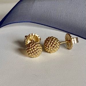 18K Gold Lagos Studs